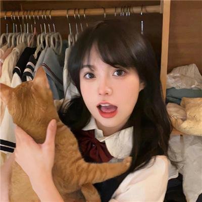 法律与秩序第二十四季